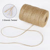 Picture of Tenn Well Natural Jute Twine, 500 Feet Long Brown Twine Rope for Crafts, Gift Wrapping, Packing, Gardening and Wedding Decor