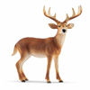 Picture of Schleich Wild Life, Animal Figurine, Animal Toys for Boys and Girls 3-8 Years Old, White-Tailed Buck