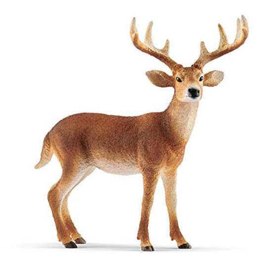 Picture of Schleich Wild Life, Animal Figurine, Animal Toys for Boys and Girls 3-8 Years Old, White-Tailed Buck
