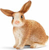 Picture of Schleich Farm World, Animal Figurine, Farm Toys for Boys and Girls 3-8 Years Old, Rabbit