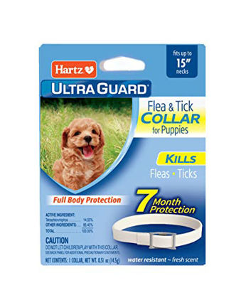 Picture of Hartz UltraGuard Flea & Tick Collar for Dogs and Puppies, 7 Month Flea and Tick Protection and Prevention Per Collar, White, Up to 15 Inch Neck