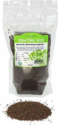 Picture of Organic Broccoli Sprouting Seeds By Handy Pantry | 1 Pound Resealable Bag| | Non-GMO Broccoli Sprouts Seeds, Contain Sulforaphane