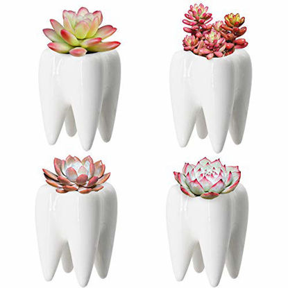Picture of YOFIT Modern Style Teeth Pots Ceramic Flower Pot, White Succulent Cactus Bonsai Planter Container, Set of 4