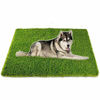 Picture of Artificial Grass, Professional Dog Grass Mat, Potty Training Rug and Replacement Artificial Grass Turf, Large Turf Outdoor Rug Patio Lawn Decoration, Easy To Clean with Drainage Holes?32inch x 48inch?