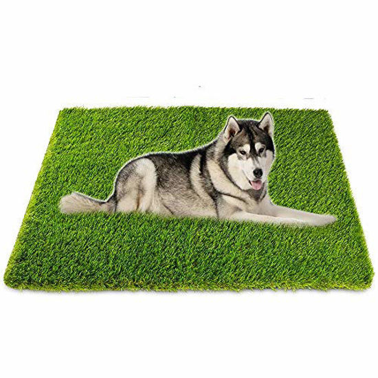 Picture of Artificial Grass, Professional Dog Grass Mat, Potty Training Rug and Replacement Artificial Grass Turf, Large Turf Outdoor Rug Patio Lawn Decoration, Easy To Clean with Drainage Holes?32inch x 48inch?