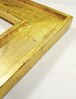 Picture of Speedball Mona Lisa Gold Leaf Kit