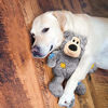 Picture of KONG - Wild Knots Bear - Internal Knotted Ropes and Minimal Stuffing for Less Mess (Assorted Colors) - for Medium/Large Dogs