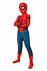 Picture of Reshiny Kids Zentai Costumes Cosplay Onesie Suit Spandex Superhero Pretend Play,M