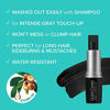 Picture of KISS Quick Cover Gray Hair Touch Up Stick (Black)