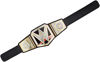 Picture of WWE Championship Title Belt