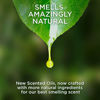 Picture of Air Wick plug in Scented Oil, Starter Kit, Lavender and Chamomile 1ct, Essential Oils, Air Freshener, Purple