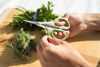 Picture of ZYLISS Herb Scissors - Trimming Weeds and Flower Buds 8.5 x 4.2 x 0.4 inches