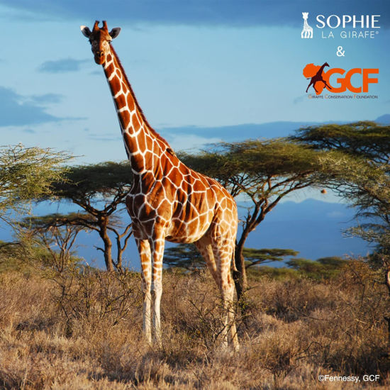 Sophie La Girafe Coffret GCF - Porte-clés Et Jouet - Partenariat Conservation Girafes - Dès La Naissance