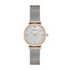Picture of Emporio Armani Women's AR2068 Retro Two Tone Quartz Watch