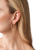 Picture of Michael Kors Fashion Gold-Tone Stainless Steel Hoop Earring (Model: MKJ7903710)