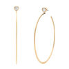 Picture of Michael Kors Fashion Gold-Tone Stainless Steel Hoop Earring (Model: MKJ7900710)