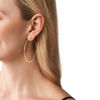 Picture of Michael Kors Fashion Gold-Tone Stainless Steel Hoop Earring (Model: MKJ7900710)