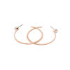 Picture of Michael Kors Fashion Rose Gold-Tone Stainless Steel Hoop Earring (Model: MKJ7905791)