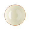 Picture of Denby USA Heritage Veranda Rice Bowls (Set of 4), Multicolor