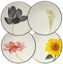 Picture of Noritake Colorwave Floral Appetizer Plates, Graphite Black, Set of 4