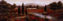 Picture of Mantella - Poster (36 x 12)