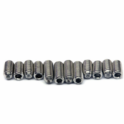 Picture of Guitar Saddle Bridge Height Adjustment Hex Screws set (12) for US/Inch and Metric - MonsterBolts (Metric - M3 x 6mm & 8mm, Stainless Steel)