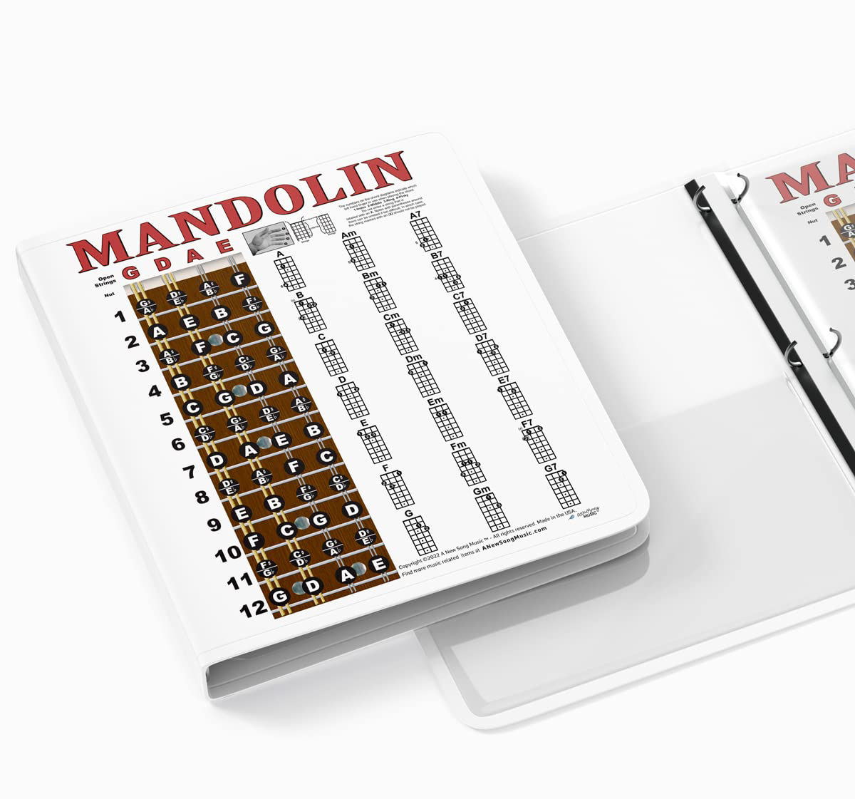 GetUSCart- A New Song Music Laminated Mandolin Easy Chord Chart ...