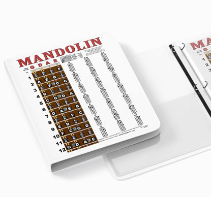 Picture of A New Song Music Laminated Mandolin Easy Chord Chart & Fretboard Notes Chart Poster 8.5"x11" for Notebook