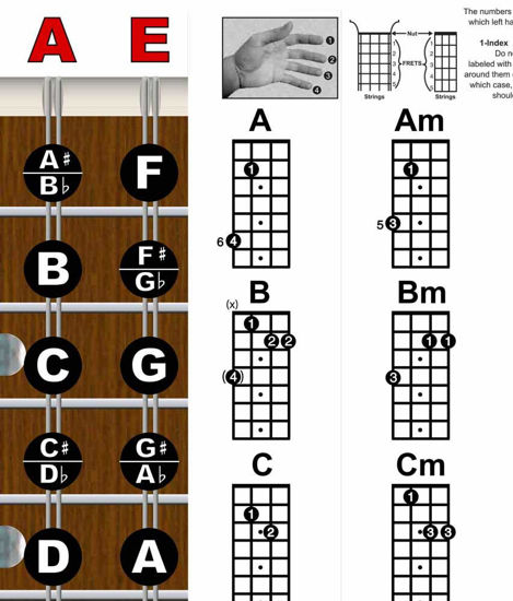 GetUSCart- A New Song Music Laminated Mandolin Easy Chord Chart ...