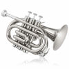 Picture of Ashthorpe Bb Brass Pocket Trumpet with Nickel Plated Finish - Includes Case, Mouthpiece, Gloves, Cleaning Cloth, Valve Oil
