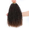 Picture of Dansama 6 Packs Passion Twist Hair Water Wave Braiding Hair for Butterfly Style Crochet Braids Bohemian Hair Extensions (12inch, T1B/30, Economy Pack)