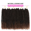 Picture of Dansama 6 Packs Passion Twist Hair Water Wave Braiding Hair for Butterfly Style Crochet Braids Bohemian Hair Extensions (12inch, T1B/30, Economy Pack)