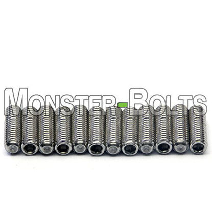 Picture of Guitar Saddle Bridge Height Adjustment Hex Screws set (12) for US/Inch and Metric - MonsterBolts (Metric - M3 x 10mm, Stainless Steel)