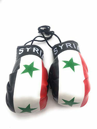 Picture of Red Hat Ent Hanging Car Mirror Mini Boxing Gloves (Syria)