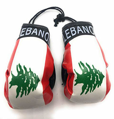 Picture of Red Hat Ent Hanging Car Mirror Mini Boxing Gloves (Lebanon)