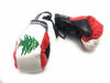 Picture of Red Hat Ent Hanging Car Mirror Mini Boxing Gloves (Lebanon)