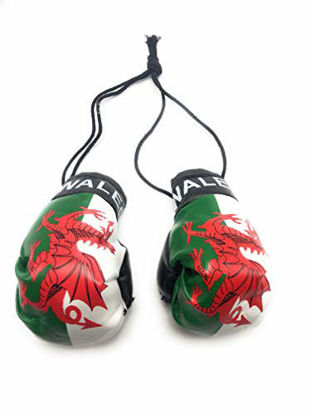 Picture of Red Hat Ent Hanging Car Mirror Mini Boxing Gloves (Wales)