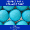 Picture of Old Whaling Co Seaweed and Sea Salt Bath Bomb - Set of 4 - Handmade Bath Soak with Epsom Salts - Cleansing, Soothing and Moisturizing Fizz - Sea Spray, Bergamot and Sand Jasmine Scent, 8 oz