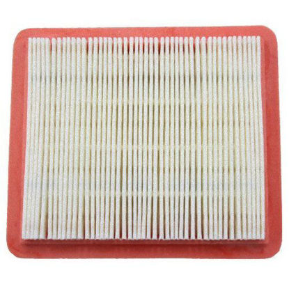 Picture of Honda 17211-Z8B-901 Air Filter (Limited Edition)