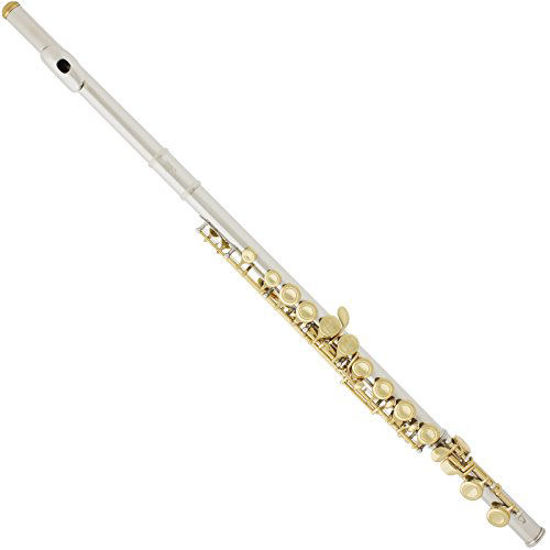 GetUSCart Mendini By Cecilio Flutes Closed Hole C Flute For