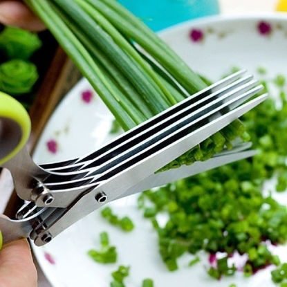 Picture of Multi-Layers Kitchen Herb Scissors , 5 Blade Kitchen Shears Scallion Cutter Laver Spices Herb Spice Kitchen Slicer Shredded Scallion Chive Cutter for Cutting Cilantro Onion Salad Garden Herbs