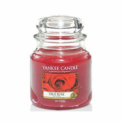Yankee Candle Balsam & Cedar Scented, Classic 22oz Large Tumbler 2-Wick  Candle, Over 75 Hours of Burn Time, Christmas | Holiday Candle