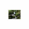 Picture of Schneider 4x5.65 ND 0.3, Neutral Density Professional Glass Filter