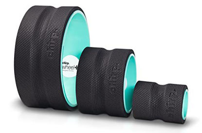 Picture of Chirp Wheel+ Foam Roller for Back Pain Relief, Muscle Therapy, and Deep Tissue Massage - 3-Pack
