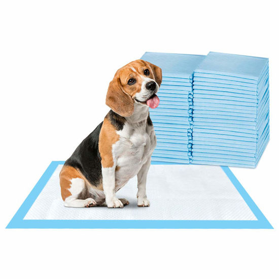 GetUSCart ScratchMe Super Absorbent Waterproof Dog and Puppy Pet Training Pad Housebreaking Pet Pad 40 Count Medium Size 23.6 X23.6