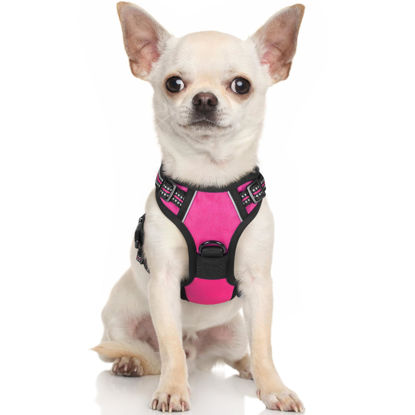 https://www.getuscart.com/images/thumbs/1059326_rabbitgoo-dog-harness-no-pull-pet-harness-with-2-leash-clips-adjustable-soft-padded-dog-vest-reflect_415.jpeg