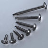 Picture of Wensilon (300Pcs)#8×3/4” for Sheet Metal Self-Tapping Screws 410 Black Stainless Steel Truss Head High-Strength Quick Tapping