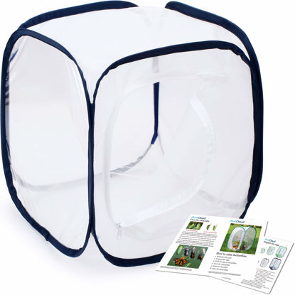 Picture of RESTCLOUD Insect and Butterfly Habitat Cage Terrarium Pop-up 12 X 12 X 12 Inches