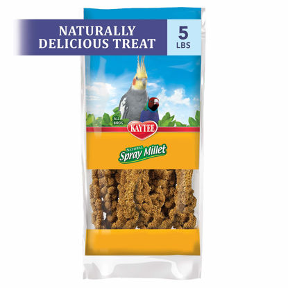Picture of Kaytee Spray Millet Treat for Pet Birds, 5 Pound