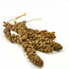 Picture of Kaytee Spray Millet Treat for Pet Birds, 5 Pound